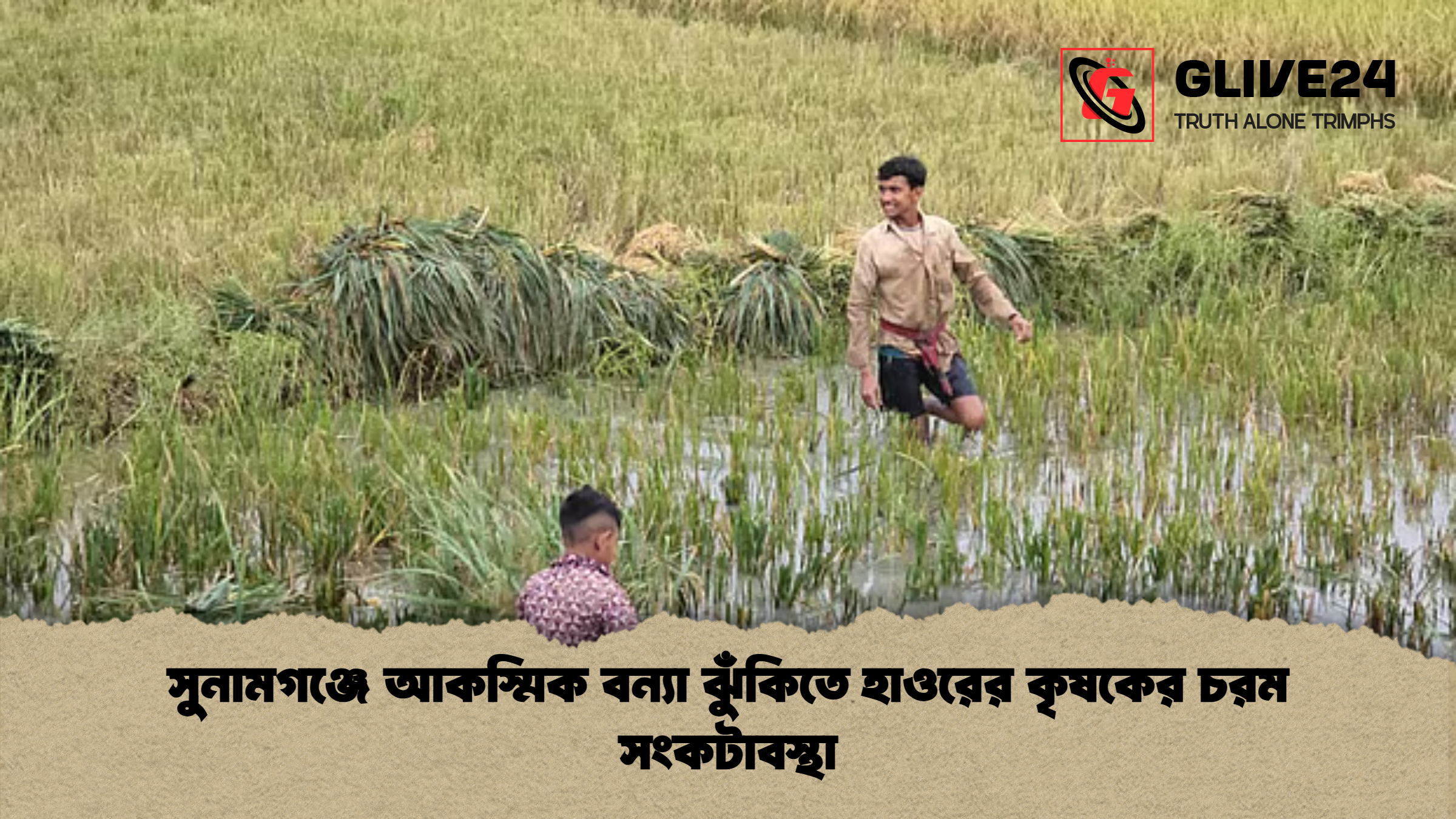 news thumbnail 1777271977923 সুনামগঞ্জে আকস্মিক বন্যা ঝুঁকিতে হাওরের কৃষকের চরম সংকটাবস্থা