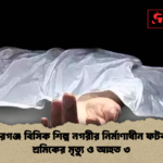 news thumbnail 1777273029510 কিশোরগঞ্জ বিসিক শিল্প নগরীর নির্মাণাধীন ফটক ধসে শ্রমিকের মৃত্যু ও আহত ৩