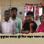 news thumbnail 1777282717057 সখীপুরে কুকুরের কামড়ে দুই দিনে অন্তত পঞ্চাশ জন আহত