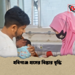 news thumbnail 1777291994365 হবিগঞ্জে হামের বিস্তার বৃদ্ধি