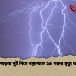 news thumbnail 1777534462343 কলাপাড়ায় দুই দিনে বজ্রপাতে ২৯ গরুর মৃত্যু ঘটেছে