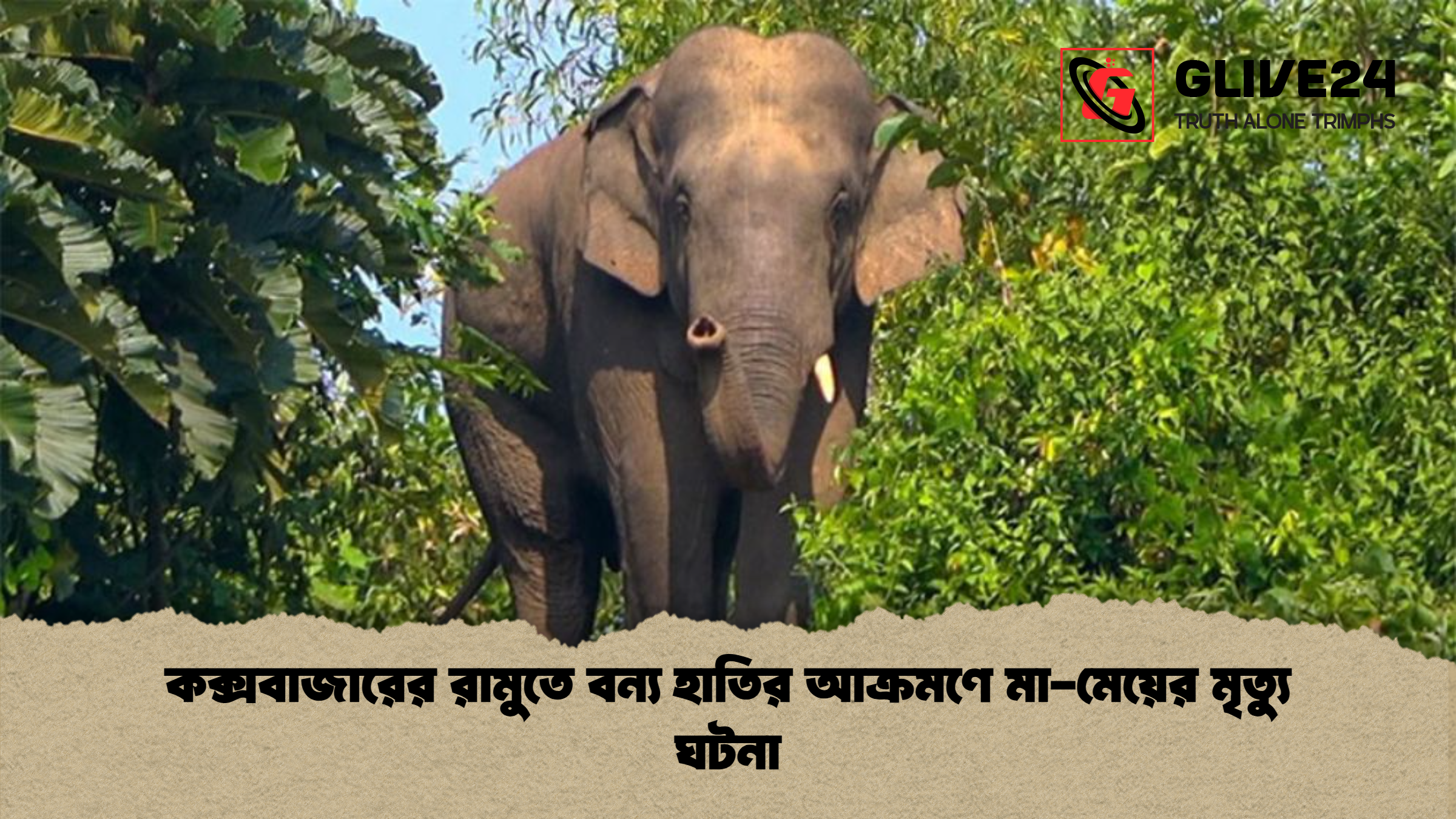 news thumbnail 1777538642298 কক্সবাজারের রামুতে বন্য হাতির আক্রমণে মা-মেয়ের মৃত্যু ঘটনা