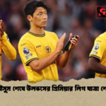 আট মৌসুম শেষে উলভসের প্রিমিয়ার লিগ যাত্রা শেষ হলো আট মৌসুম শেষে উলভসের প্রিমিয়ার লিগ যাত্রা শেষ হলো