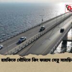 ইরানি হুমকিতে সৌদিতে কিং ফাহাদ সেতু সাময়িক বন্ধ