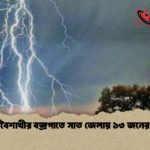 কালবৈশাখীর বজ্রপাতে সাত জেলায় ১৩ জনের মৃত্যু কালবৈশাখীর বজ্রপাতে সাত জেলায় ১৩ জনের মৃত্যু