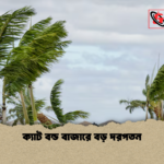 ক্যাট বন্ড বাজারে বড় দরপতন ক্যাট বন্ড বাজারে বড় দরপতন