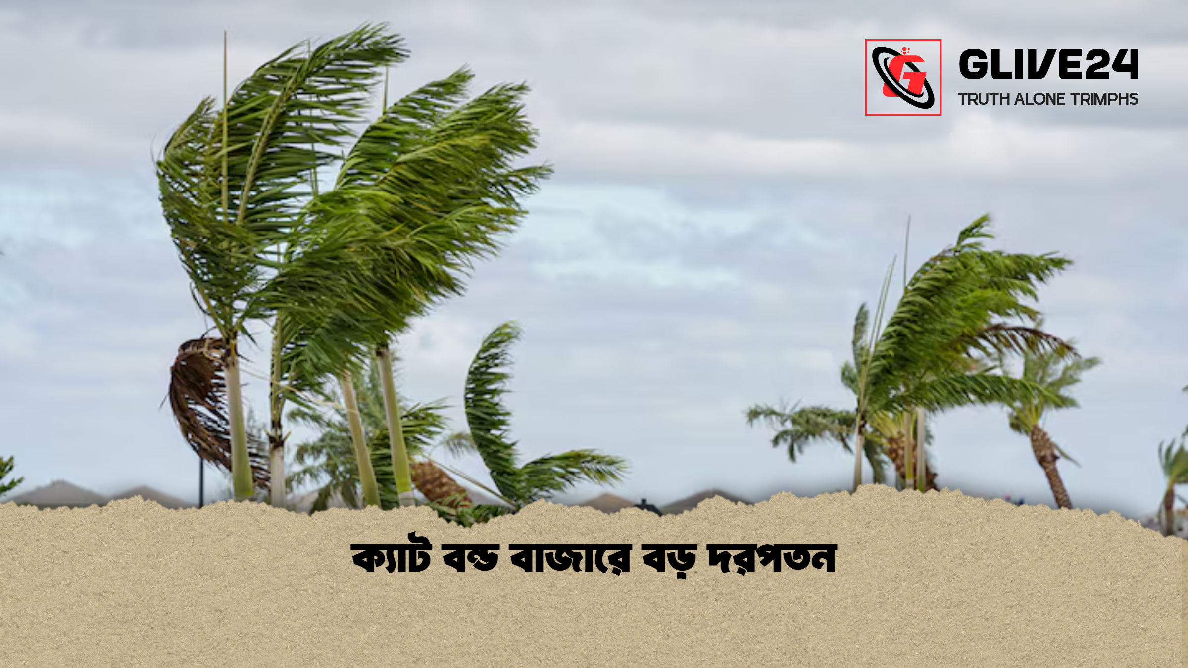 ক্যাট বন্ড বাজারে বড় দরপতন ক্যাট বন্ড বাজারে বড় দরপতন