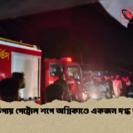 গলাচিপায় পেট্রোল শপে অগ্নিকাণ্ডে একজন দগ্ধ আহত গলাচিপায় পেট্রোল শপে অগ্নিকাণ্ডে একজন দগ্ধ আহত