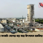 গ্যাস সংকট দেশের বড় সার উৎপাদন হুমকির মুখে