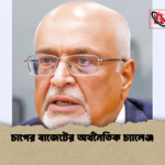 চাপের বাজেটের অর্থনৈতিক চ্যালেঞ্জ চাপের বাজেটের অর্থনৈতিক চ্যালেঞ্জ
