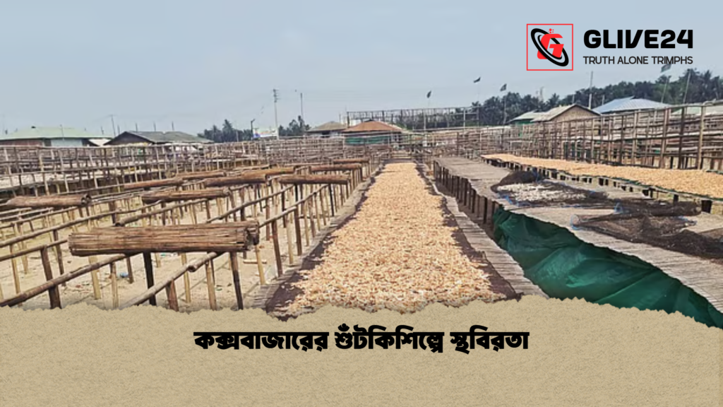 চার বছরে দেশে তরমুজ উৎপাদন দ্বিগুণ চার বছরে দেশে তরমুজ উৎপাদন দ্বিগুণ