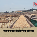 চার বছরে দেশে তরমুজ উৎপাদন দ্বিগুণ চার বছরে দেশে তরমুজ উৎপাদন দ্বিগুণ