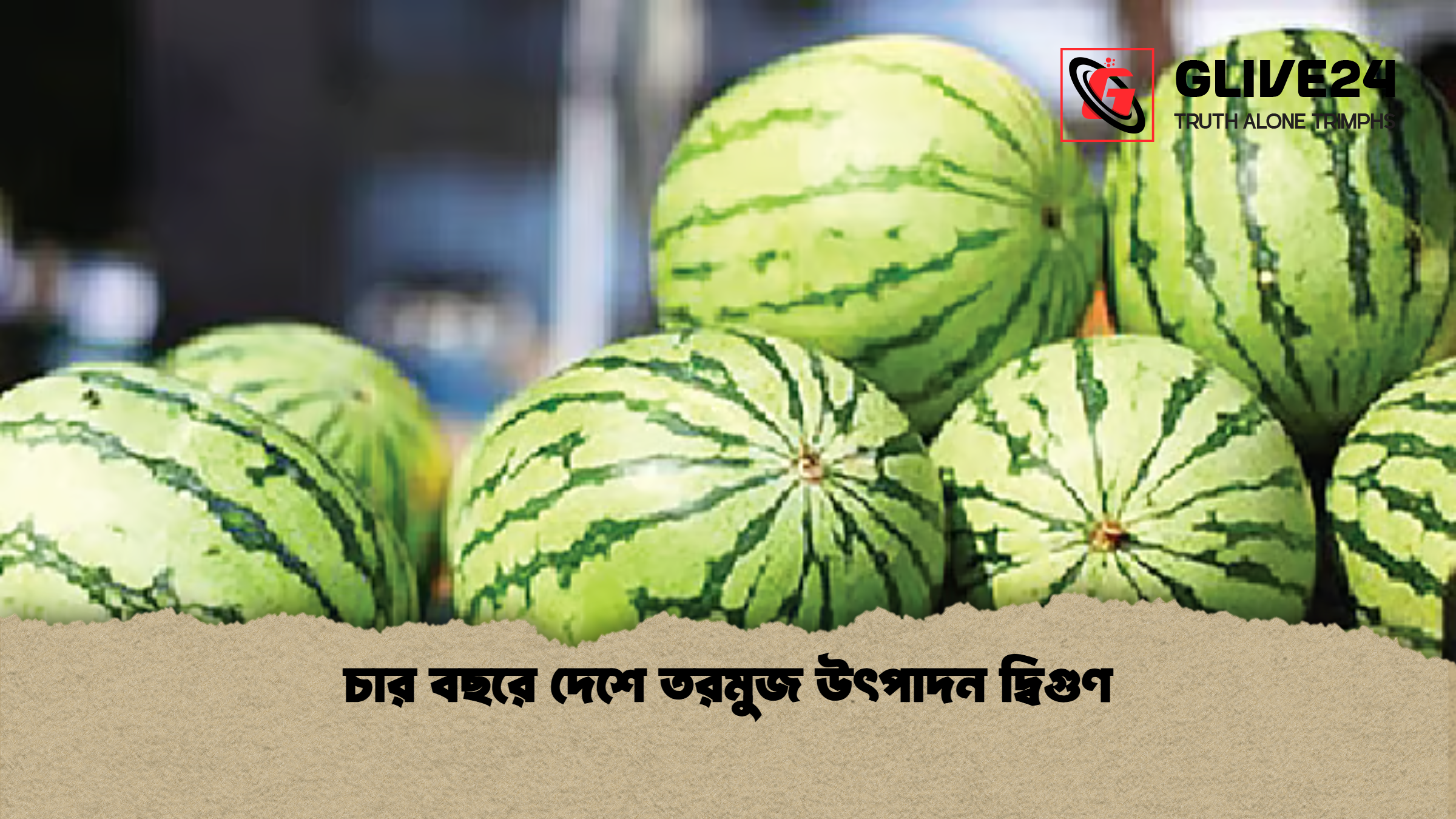 চার বছরে দেশে তরমুজ উৎপাদন দ্বিগুণ 2 চার বছরে দেশে তরমুজ উৎপাদন দ্বিগুণ