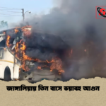 জাঙ্গালিয়ায় তিন বাসে ভয়াবহ আগুন জাঙ্গালিয়ায় তিন বাসে ভয়াবহ আগুন