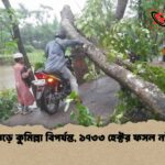ঝড়ে কুমিল্লা বিপর্যস্ত, ১৭৩৩ হেক্টর ফসল নষ্ট