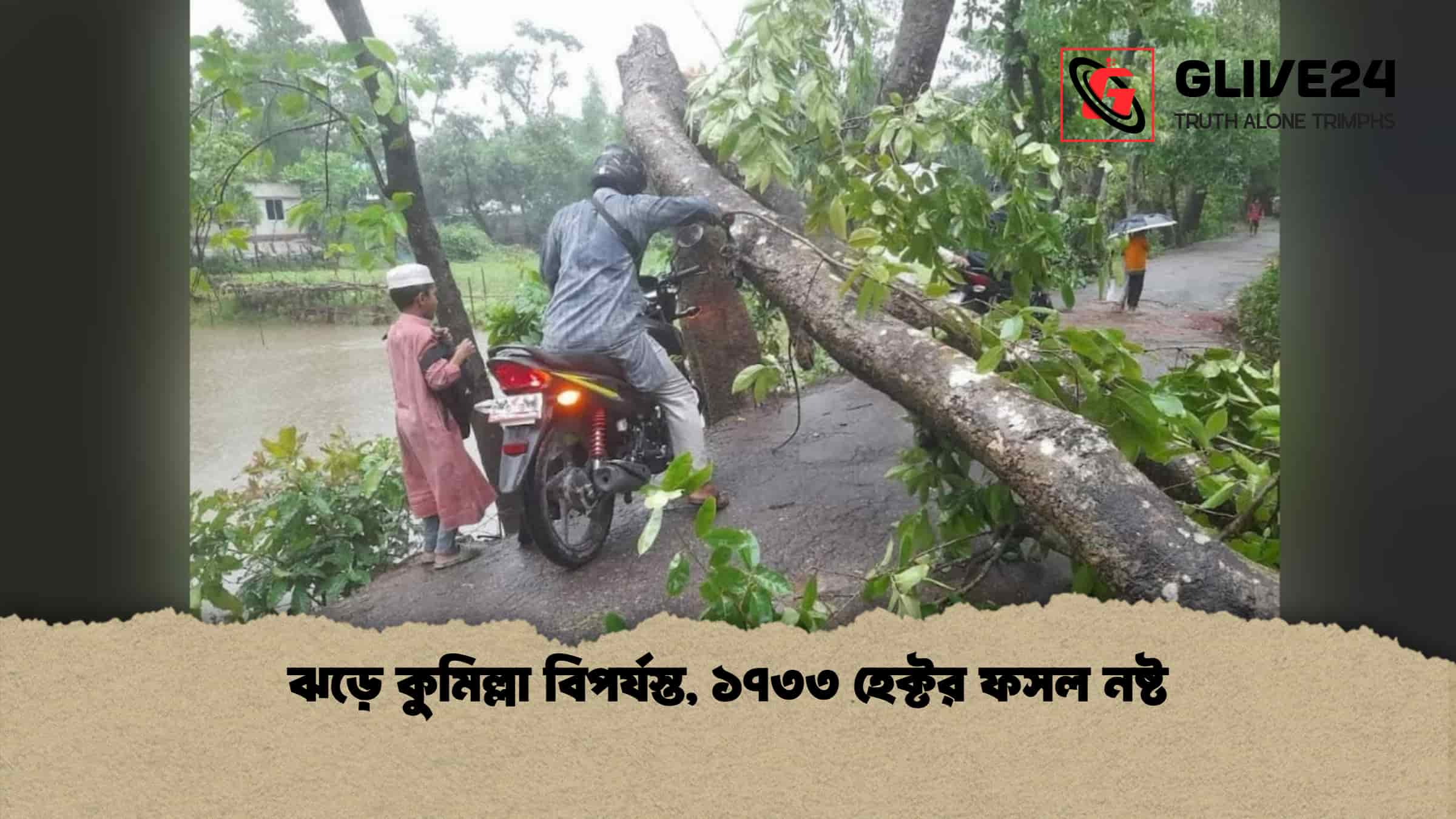 ঝড়ে কুমিল্লা বিপর্যস্ত, ১৭৩৩ হেক্টর ফসল নষ্ট