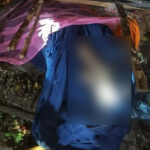 ঝড়ে গাছচাপায় অন্তঃসত্ত্বার মৃত্যু ঝড়ে গাছচাপায় অন্তঃসত্ত্বার মৃত্যু