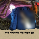 ঝড়ে গাছচাপায় অন্তঃসত্ত্বার মৃত্যু ঝড়ে গাছচাপায় অন্তঃসত্ত্বার মৃত্যু