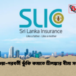 ডিটওয়া পরবর্তী ঝুঁকি কমাতে শ্রীলঙ্কার বীমা সংস্কার ডিটওয়া-পরবর্তী ঝুঁকি কমাতে শ্রীলঙ্কার বীমা সংস্কার