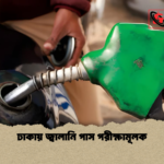 ঢাকায় জ্বালানি পাস পরীক্ষামূলক ঢাকায় জ্বালানি পাস পরীক্ষামূলক