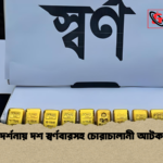 দর্শনায় দশ স্বর্ণবারসহ চোরাচালানী আটক দর্শনায় দশ স্বর্ণবারসহ চোরাচালানী আটক