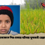 ধানক্ষেতে শিশু হত্যার ঘটনায় দুলাভাই গ্রেপ্তার ধানক্ষেতে শিশু হত্যার ঘটনায় দুলাভাই গ্রেপ্তার