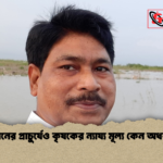 ধানের প্রাচুর্যেও কৃষকের ন্যায্য মূল্য কেন অধরা ধানের প্রাচুর্যেও কৃষকের ন্যায্য মূল্য কেন অধরা