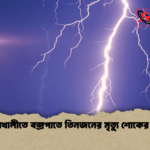 নোয়াখালীতে বজ্রপাতে তিনজনের মৃত্যু শোকের ছায়া নোয়াখালীতে বজ্রপাতে তিনজনের মৃত্যু শোকের ছায়া