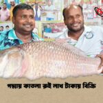 পদ্মায় কাতলা রুই লাখ টাকায় বিক্রি