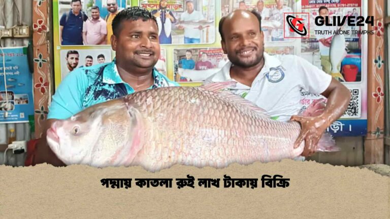 পদ্মায় কাতলা রুই লাখ টাকায় বিক্রি