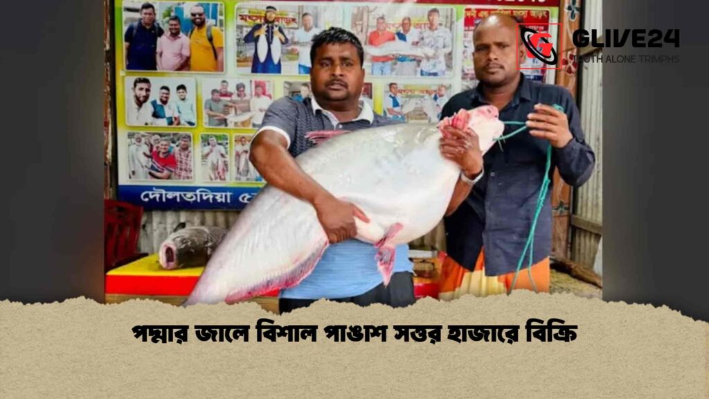 পদ্মার জালে বিশাল পাঙাশ সত্তর হাজারে বিক্রি