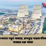 বিদ্যুৎ উৎপাদনে নতুন অধ্যায়, রূপপুরে পারমাণবিক জ্বালানি ব্যবহার শুরু আজ