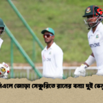 বিসিএলে জোড়া সেঞ্চুরিতে রানের বন্যা দুই ভেন্যুতে বিসিএলে জোড়া সেঞ্চুরিতে রানের বন্যা দুই ভেন্যুতে