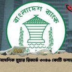 বৈদেশিক মুদ্রার রিজার্ভ ৩০৪৬ কোটি ডলার