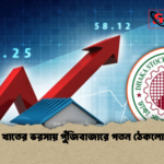 ব্যাংক খাতের ভরসায় পুঁজিবাজারে পতন ঠেকলো এবার ব্যাংক খাতের ভরসায় পুঁজিবাজারে পতন ঠেকলো এবার