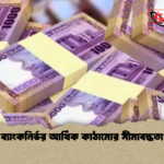 ব্যাংকনির্ভর আর্থিক কাঠামোর সীমাবদ্ধতা ব্যাংকনির্ভর আর্থিক কাঠামোর সীমাবদ্ধতা