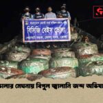 ভোলার মেঘনায় বিপুল জ্বালানি জব্দ অভিযান