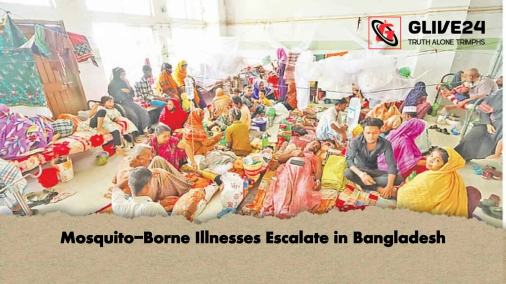 মশাবাহিত রোগে বাড়ছে জাতীয় শঙ্কা