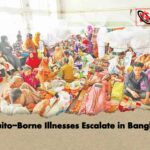 মশাবাহিত রোগে বাড়ছে জাতীয় শঙ্কা