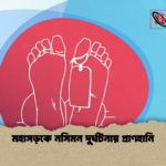 মহাসড়কে নসিমন দুর্ঘটনায় প্রাণহানি 1 মহাসড়কে নসিমন দুর্ঘটনায় প্রাণহানি