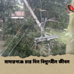 মাদারগঞ্জে চার দিন বিদ্যুৎহীন জীবন মাদারগঞ্জে চার দিন বিদ্যুৎহীন জীবন