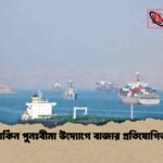 মার্কিন পুনঃবীমা উদ্যোগে বাজার প্রতিযোগিতা