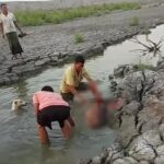 মীরসরাইয়ে হরিণ হত্যায় ক্ষোভ মীরসরাইয়ে হরিণ হত্যায় ক্ষোভ