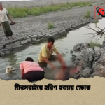 মীরসরাইয়ে হরিণ হত্যায় ক্ষোভ মীরসরাইয়ে হরিণ হত্যায় ক্ষোভ