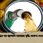 মূল্যবৃদ্ধির পর জ্বালানি সরবরাহ বৃদ্ধি ঘোষণা দেওয়া হলো মূল্যবৃদ্ধির পর জ্বালানি সরবরাহ বৃদ্ধি ঘোষণা দেওয়া হলো