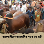 রাজধানীতে কোরবানির পশুর ২৬ হাট রাজধানীতে কোরবানির পশুর ২৬ হাট