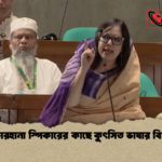 রুমিন ফারহানা স্পিকারের কাছে কুৎসিত ভাষার বিচার দাবি রুমিন ফারহানা স্পিকারের কাছে কুৎসিত ভাষার বিচার দাবি