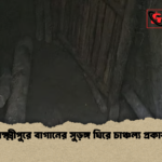 লক্ষ্মীপুরে বাগানের সুড়ঙ্গ ঘিরে চাঞ্চল্য প্রকাশ লক্ষ্মীপুরে বাগানের সুড়ঙ্গ ঘিরে চাঞ্চল্য প্রকাশ