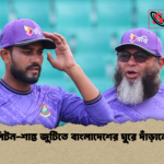 লিটন শান্ত জুটিতে বাংলাদেশের ঘুরে দাঁড়ানো লিটন-শান্ত জুটিতে বাংলাদেশের ঘুরে দাঁড়ানো