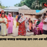 শিয়ালের কামড়ে জলাতঙ্কে প্রাণ গেল এক নারীর শিয়ালের কামড়ে জলাতঙ্কে প্রাণ গেল এক নারীর